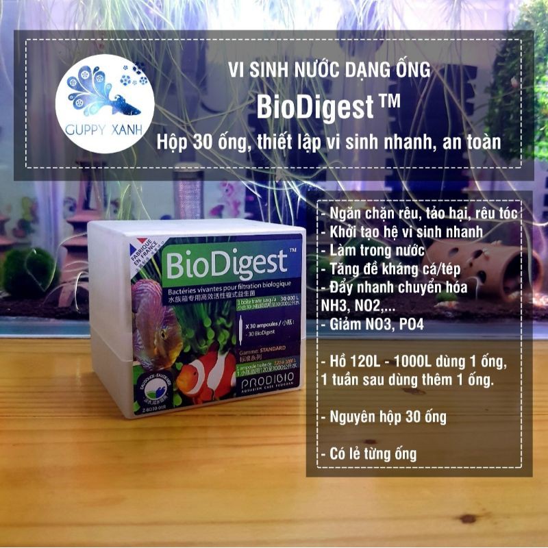 VI SINH SỐNG XỬ LÝ NƯỚC PRODIBIO BIODIGEST - 1 Ống