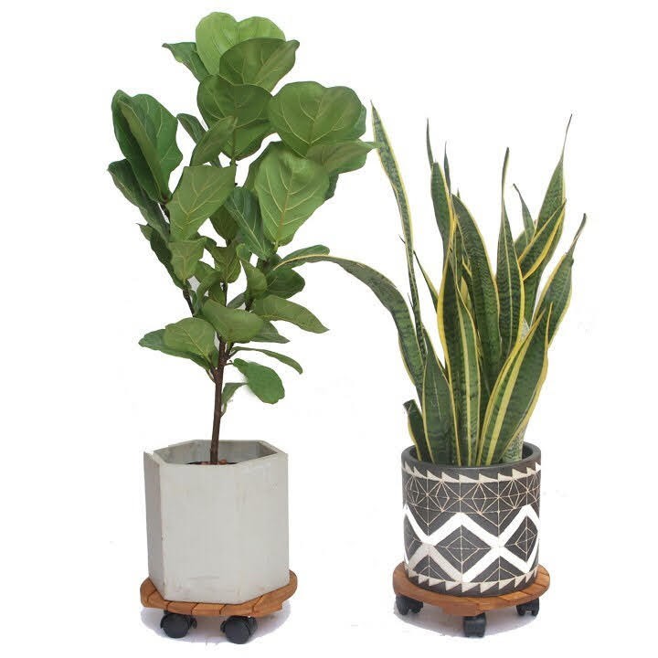 Đế gỗ đặt chậu cây di động, bánh xe có khóa