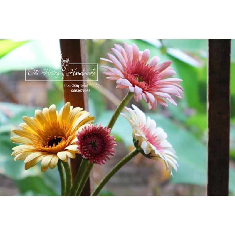 Khuôn cắt làm hoa lá đồng tiền size hoa 9-12 cm