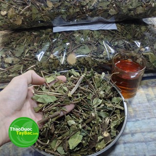 Bán Trà Dây Thìa Canh