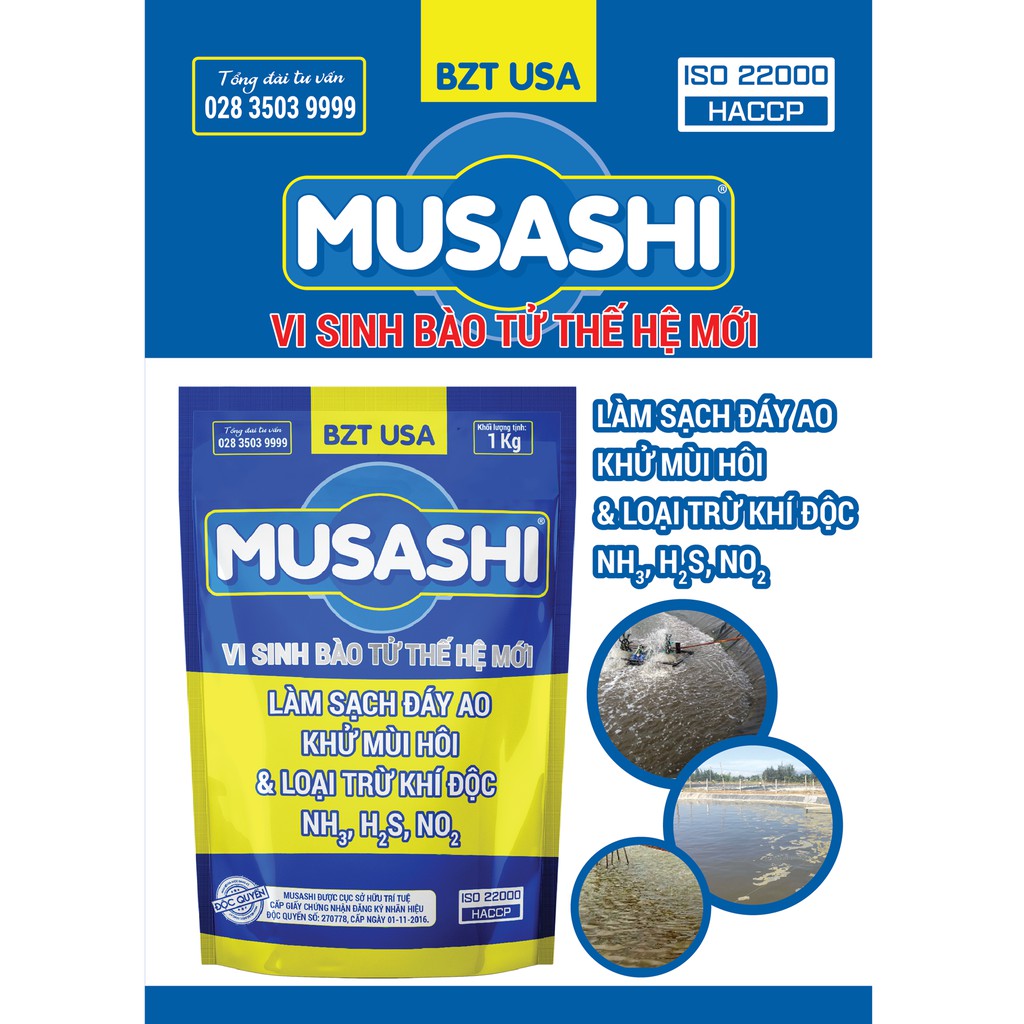 BZT USA - MUSASHI (Gói 1kg)