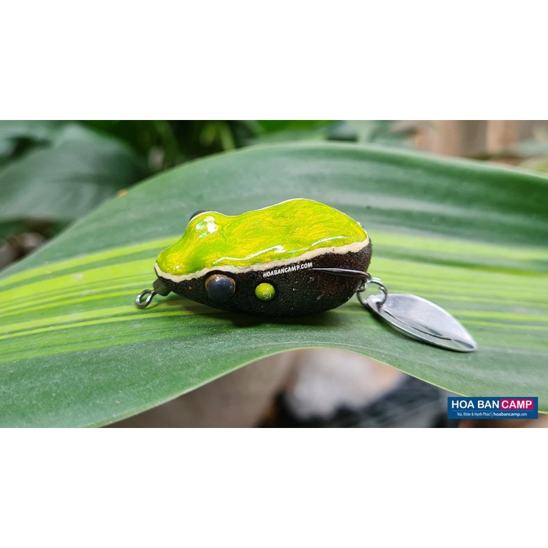 Mồi Nhái Hơi – Ếch Rừng | Forest Frog Thailand