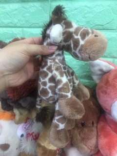 Nici (si 99%) Giraffe nhiều size
