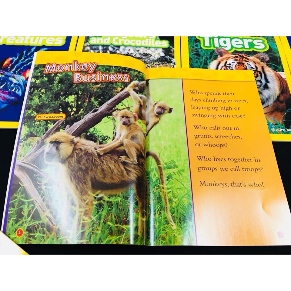 Đồ chơi - Nhập - National Geographic Kids (Level 2) 25b