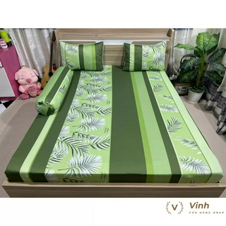 Bộ Drap Giường Thun Lạnh Ý 5D