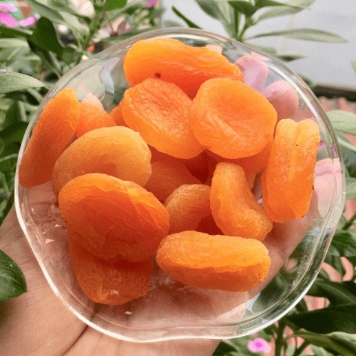 Dâu Tây, Kiwi, Xoài, Mơ, Nho Nâu Sấy Dẻo Không Đường NHALAM FOOD