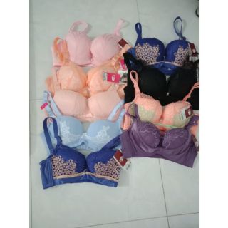 Combo áo ngực 360k