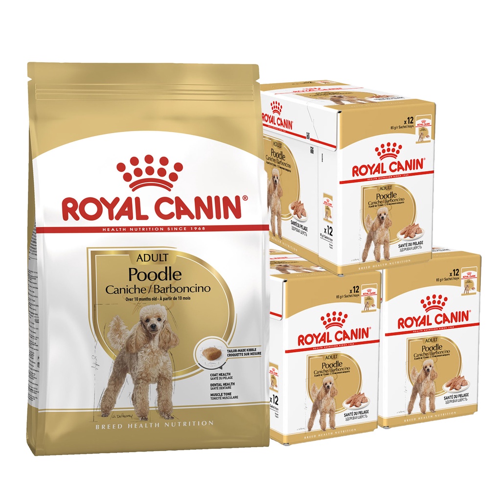 Royal Canin Poodle Puppy / Adult Hạt khô / Pate