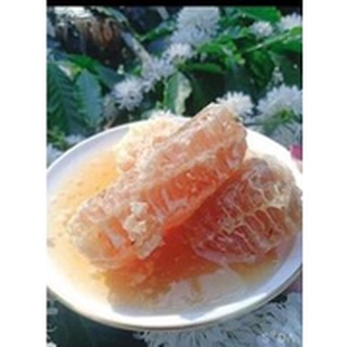 150ml mật ong hoa cà phê, nguyên chất 100%.( hũ dùng thử)