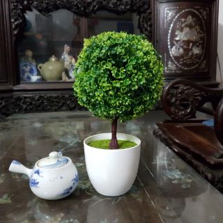 Cây hoa nhựa trang trí