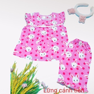 Bộ đồ tole lanh lửng bé gái đủ size