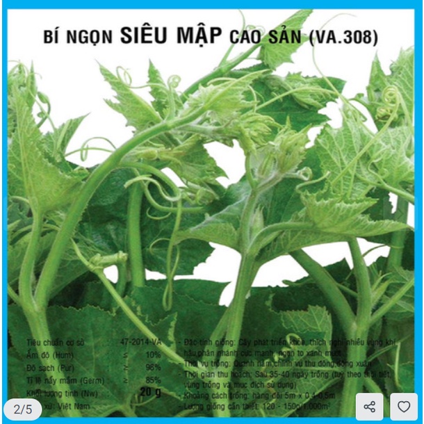 GÓI 20G HẠT GIỐNG BÍ SIÊU NGỌN CAO SẢN