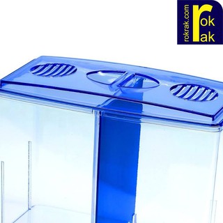Bể cá betta mini 2 ngăn tháo lắp - Hồ cá betta