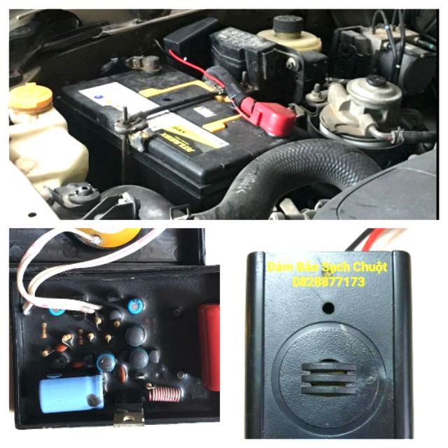 Máy đuổi chuột xe ôtô và côn trùng bằng sóng siêu âm 12V- Thiết Bị Đuổi Chuột Thông Minh Dùng Sóng Siêu Âm