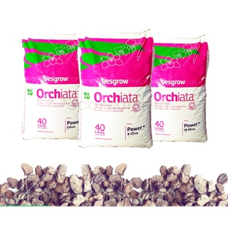 VỎ THÔNG NHẬP KHẨU NEWZEALAND ORCHITA BAO 35L