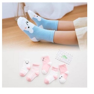combo 10 Sét 5 đôi tất lưới thu mẫu mới( loại mới)