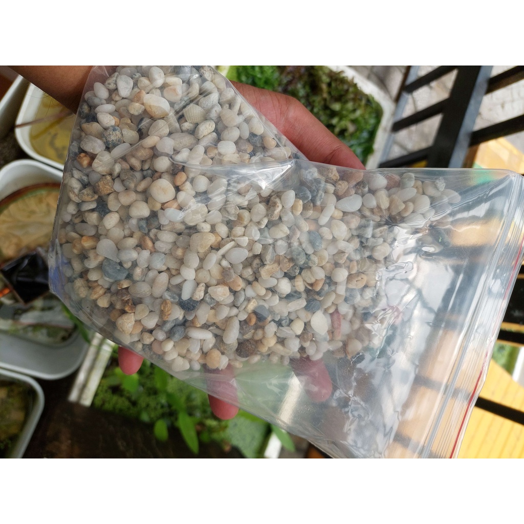 Trang trí hồ cá, 1,6kg sỏi tự nhiên