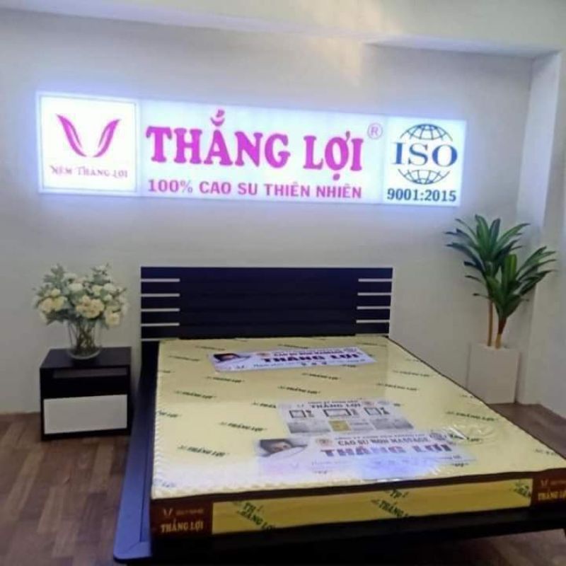 Nệm Cao Su Non Thắng Lợi ( 15 năm bảo hành từ công ty) đủ size