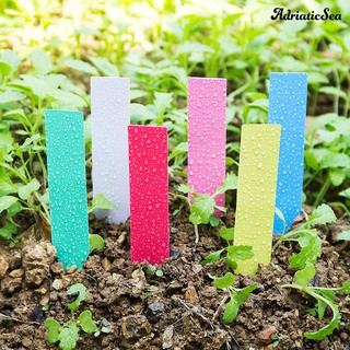 Bộ 100 thẻ tên đánh dấu cây trồng