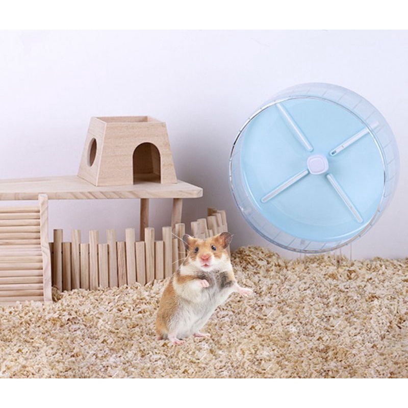 Wheel Candy tập thể dục ( ko kèm đế ) cho hamster - sóc - nhím size 20cm