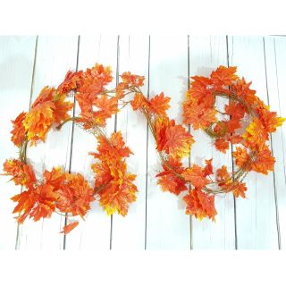 Dây lá phong đỏ có tua cuốn