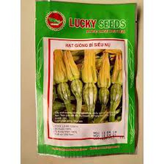 HẠT GIỐNG BÍ SIÊU NỤ GÓI 10 GRAM