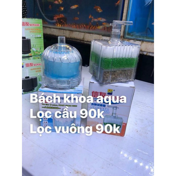 Lọc cầu BKA