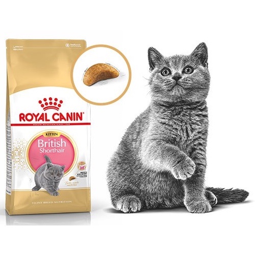 Royal Canin British Hair Túi 2kg - Hạt Cho Mèo Anh Lông Ngắn Kitten &amp; Adult