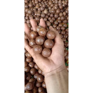 HẠT MẮC CA chất lượng Việt - 1000gr