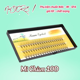 Hộp Lông Mi FAN 10D độ cong C giả chồn lông mi FAN vàng chuyên nghiệp