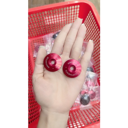 Gù dẹp rizoma 1/1