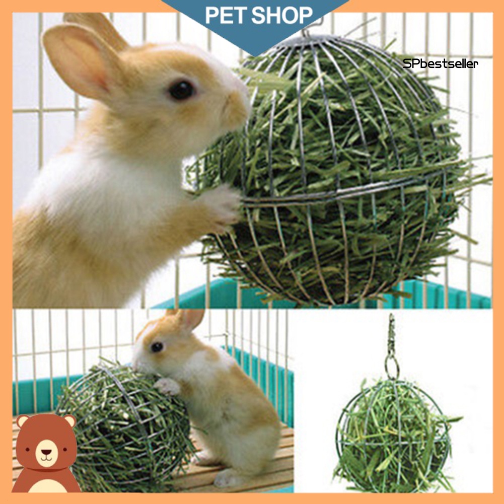 Bóng Đựng Thức Ăn Cho Thỏ Bằng Thép Không Gỉ Có Móc Treo Tiện Dụng