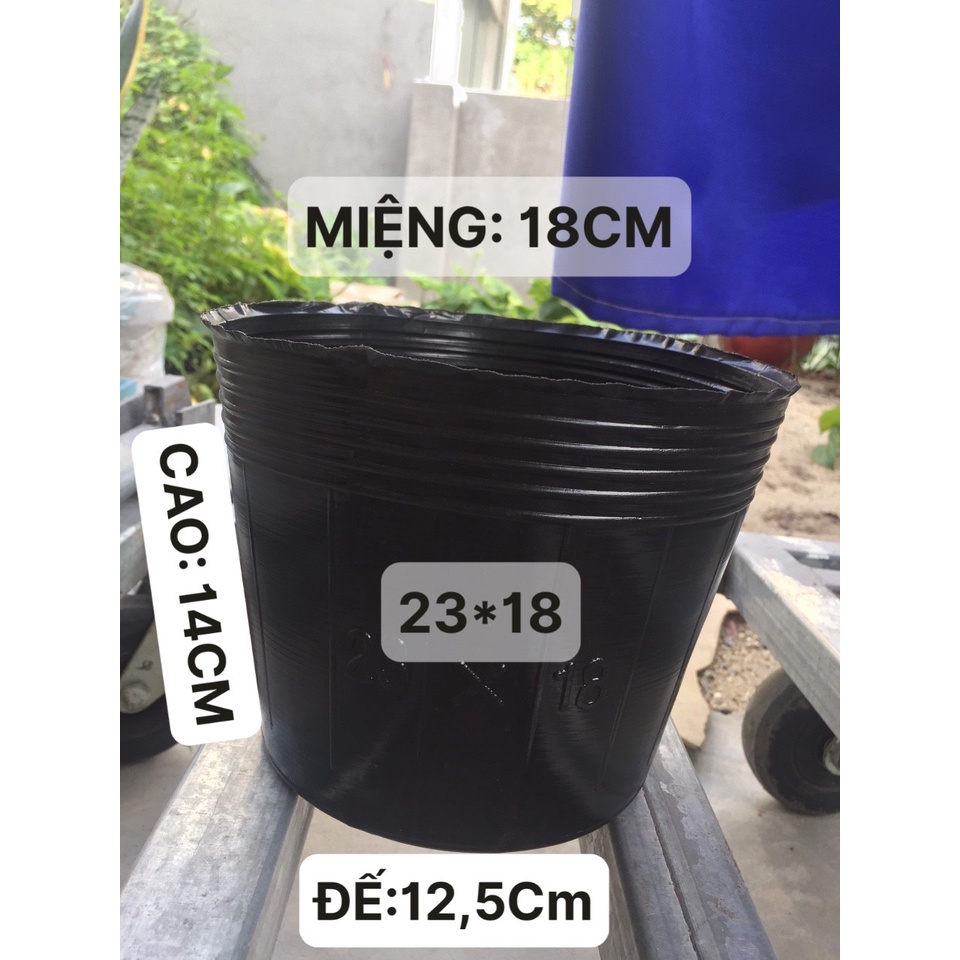 BẦU ƯƠM CÂY 23*18 DÀY VÀ MỎNG ( DỊCH TRUYỀN CHO CÂY, KÍCH RỄ , MẦM CÂY XANH LÁ, LƯỚI CHE NẮNG...)