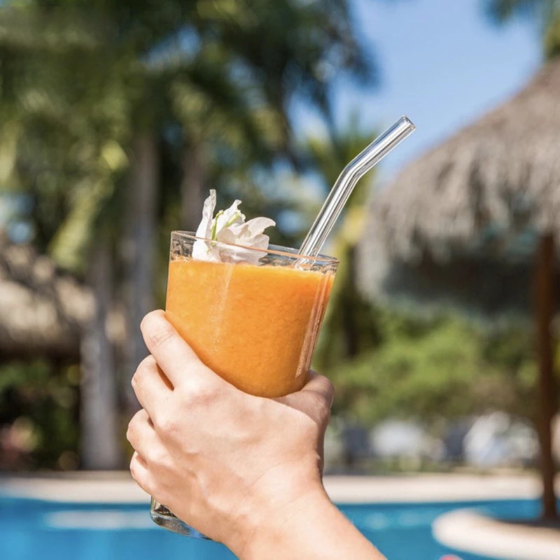 Ống hút đầu thẳng/ cong dùng uống cocktail cho buổi tiệc tại nhà có thể tái sử dụng