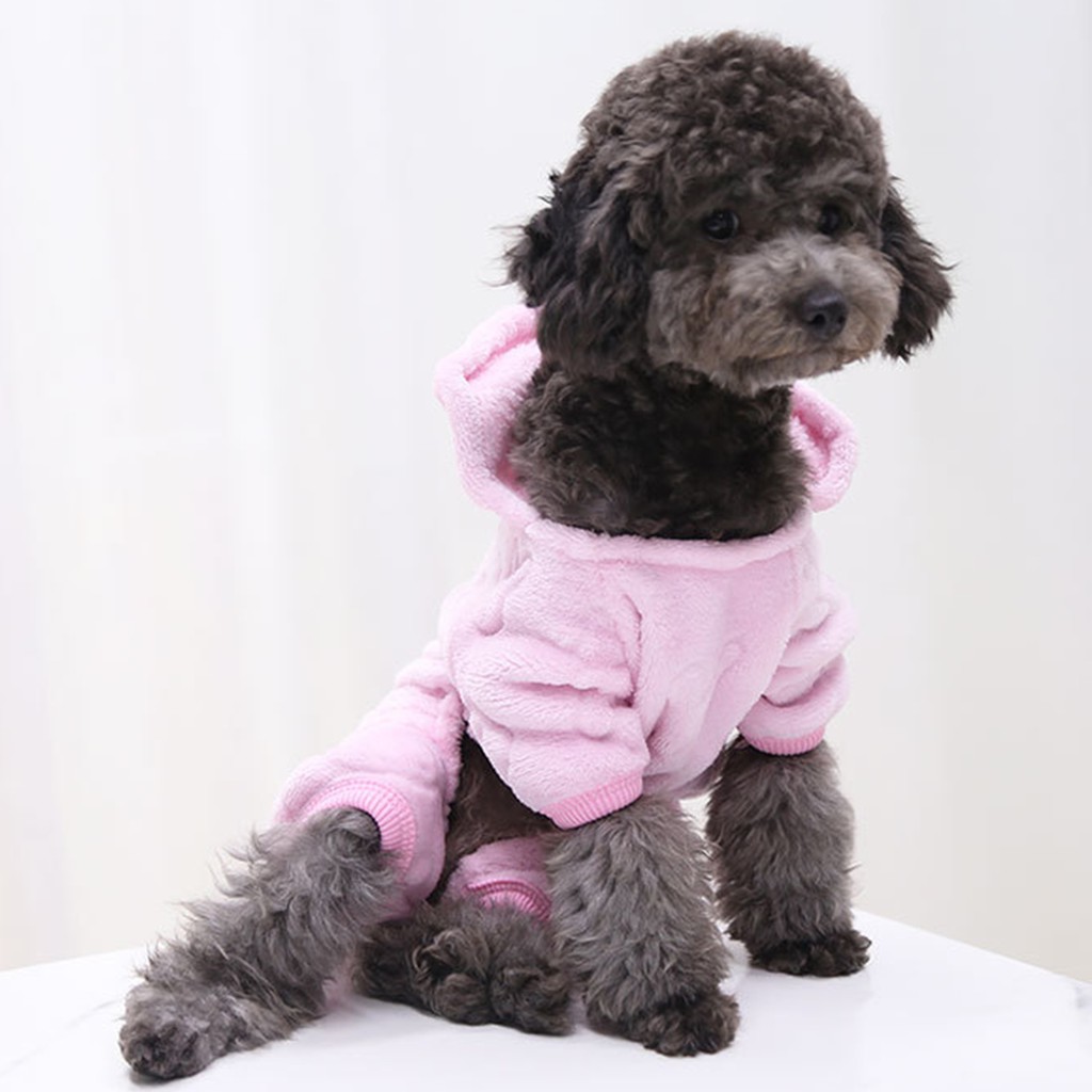 Áo hoodie tạo kiểu khủng long xinh xắn dành cho thú cưng