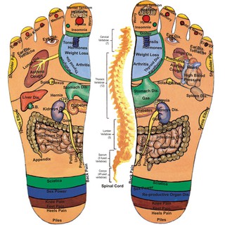 Dụng Cụ Massage Chân Bằng Gỗ