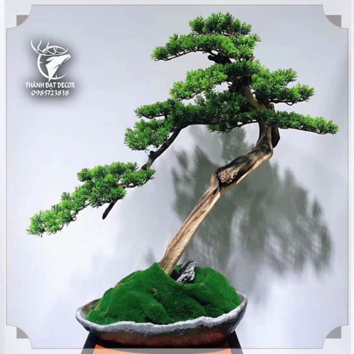 Cành Cây Lá Bách, lá Tùng Bằng Nhựa KT 15x36cm , Dùng Trang Trí Cây Cảnh, Lũa bonsai Tiểu Cảnh, Hồ Cá Thủy Sinh