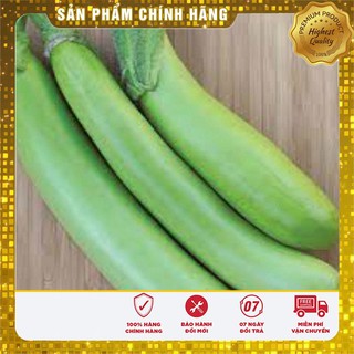 Hạt giống cà xanh lai năng suất cao 2 gram