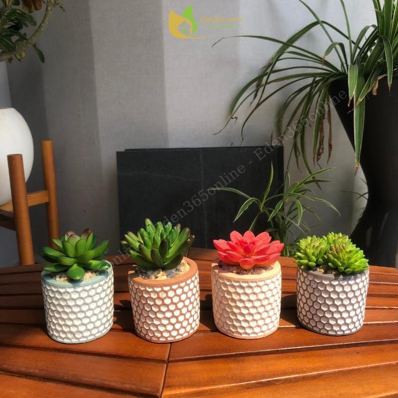 Bộ 4 chậu sen đá trang trí, chậu sen đá mini nhân tạo họa tiết tổ ong dễ thương, trang trí decor quá cafe, bàn làm việc
