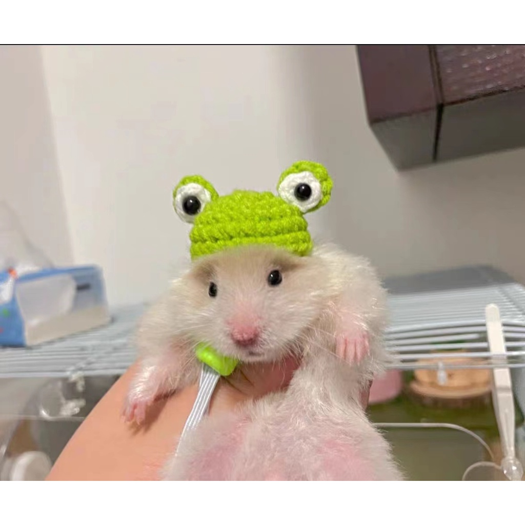 Mũ Chuột Hamster Mini Đan Tay Ba Chiều Phong Cách Mới Dễ Thương Dùng Chụp Ảnh BDJ