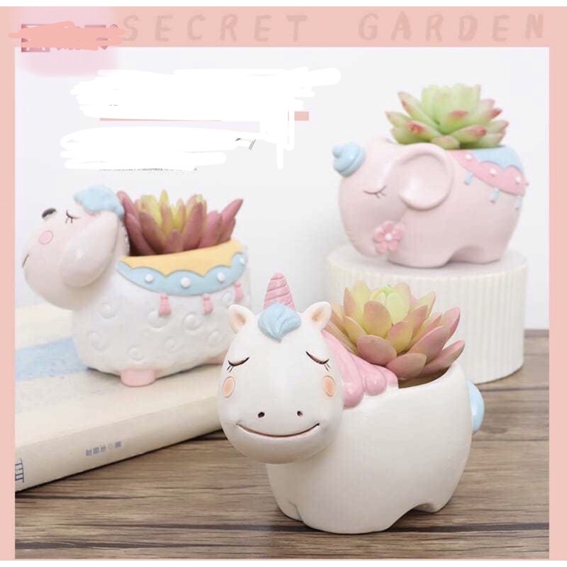 Chậu cây sen đá hình thú cute oder