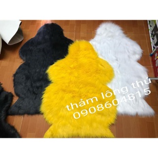 Thảm lông chụp ảnh hình thú