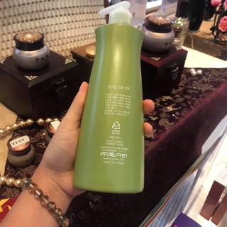 Dầu gội/Dầu xả thảo dược Chanpo Saengreen