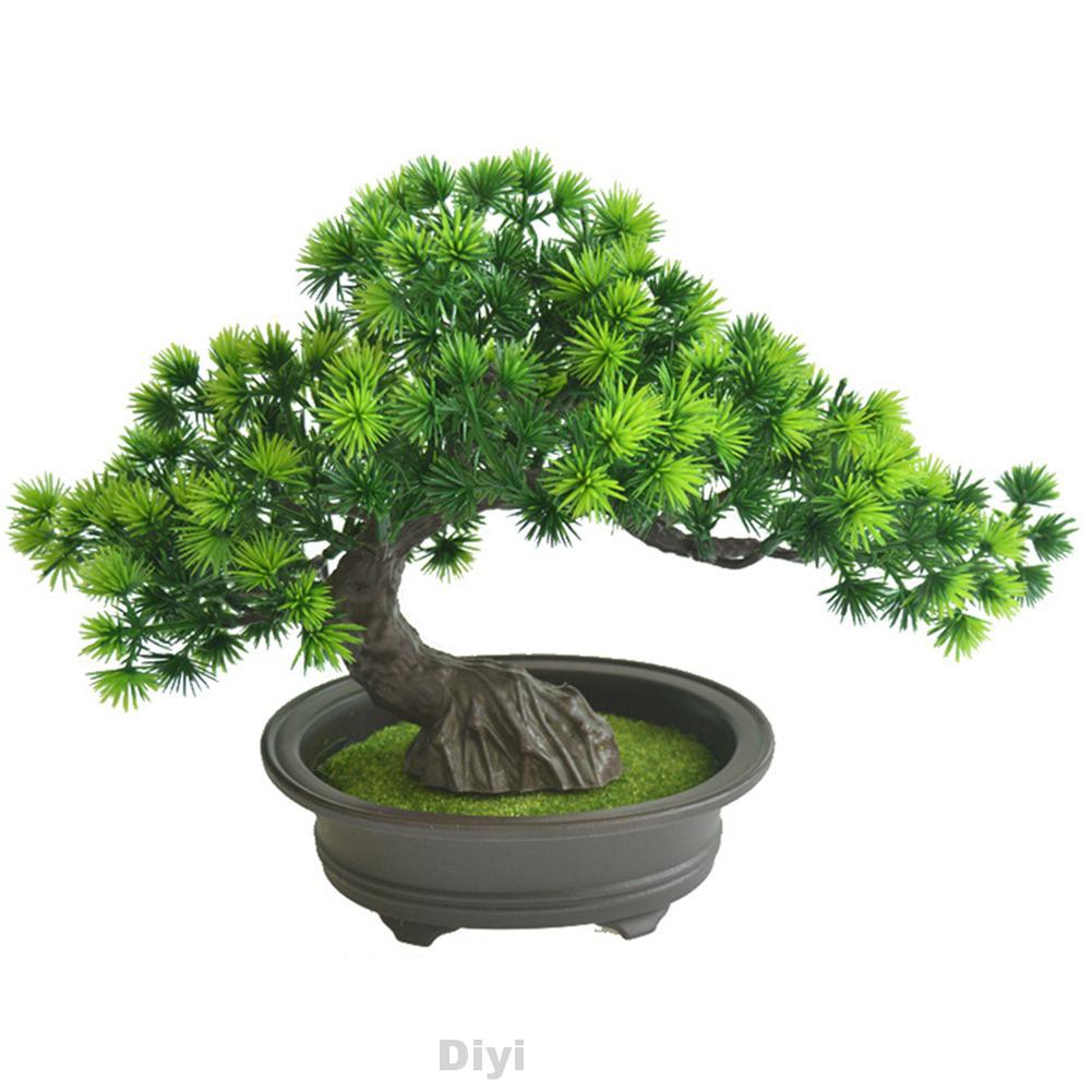 Cây Bonsai Giả Để Bàn Trang Trí