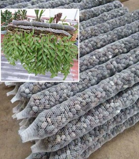 1kg Phân dê dùng để bón Lan và cây cảnh