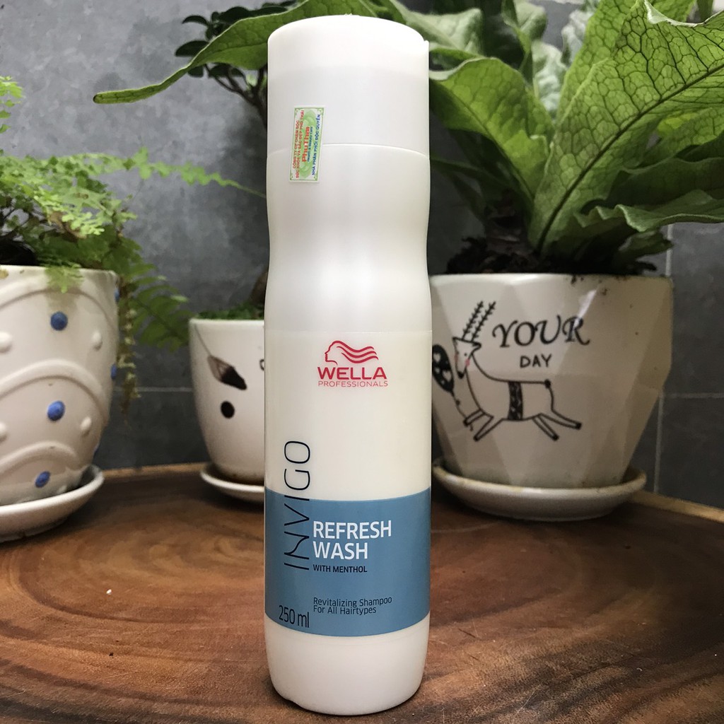 Dầu gội phục hồi và chống rụng tóc Wella Refresh 250ml ( New 2021 )