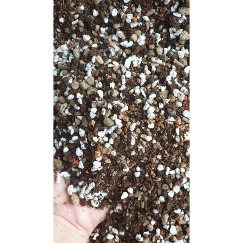 Đất trồng soil mix chuyên trồng sen đá - túi 1kg