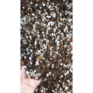 Đất trộn sen đá soil mix - 1bao 6kg