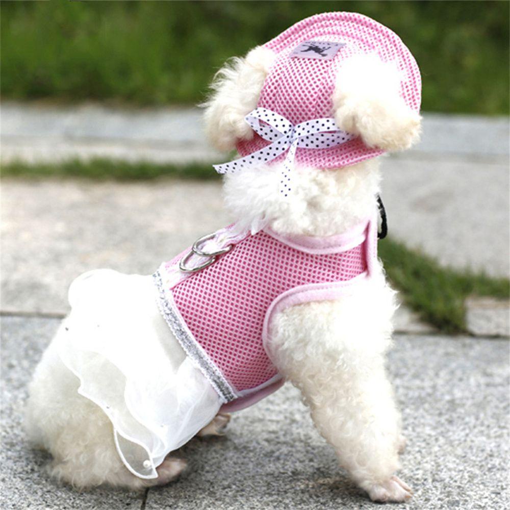 Mũ Chống Nắng Ngoài Trời Cho Thú Cưng