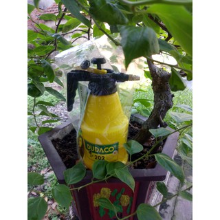 Bình tưới cây 2L- DUDACO B202A